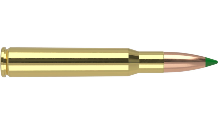 NOSLER 30.06 SPRG 180GR BALLISTIC TIP