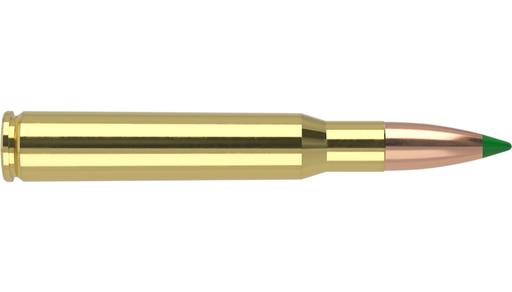 NOSLER 30.06 SPRG 180GR BALLISTIC TIP