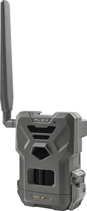 Spypoint flex camera piege