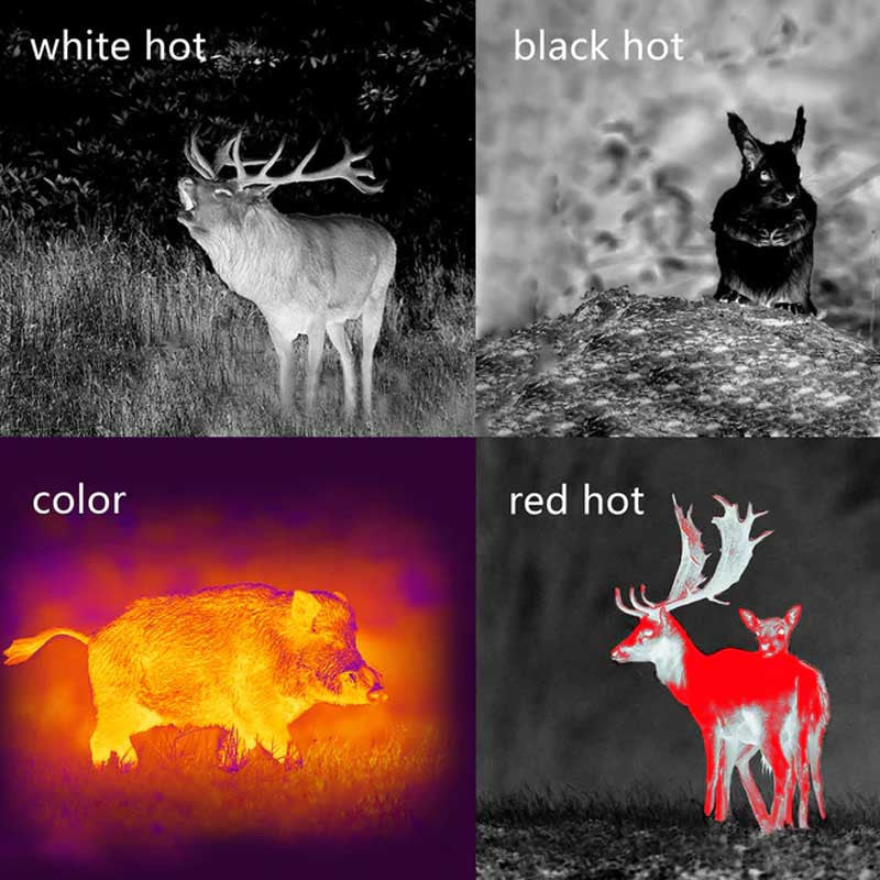 PARD Monoculaire  thermique TA32-35 - Armurerie de la Têt