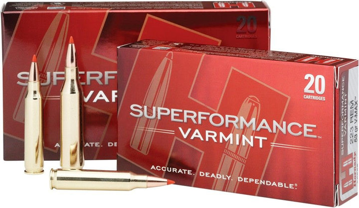 HORNADY 243W 58GR VMAX