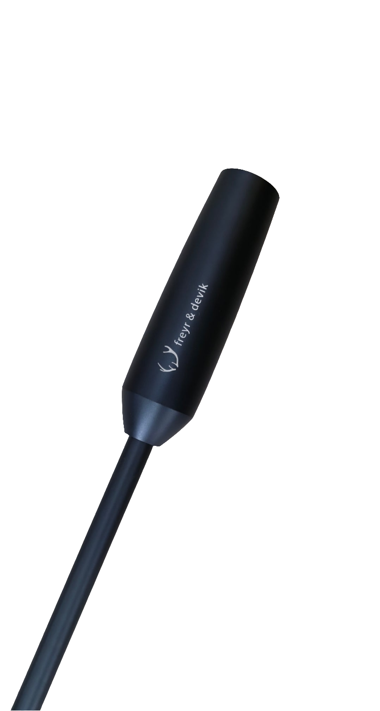 Blaser R8 Silverstone 300wm occasion + z8i et FD 231