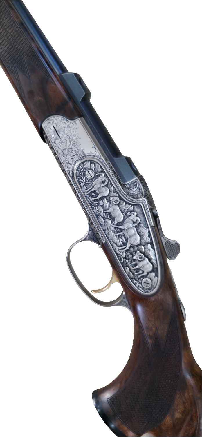Blaser K95 baronesse 270w occasion