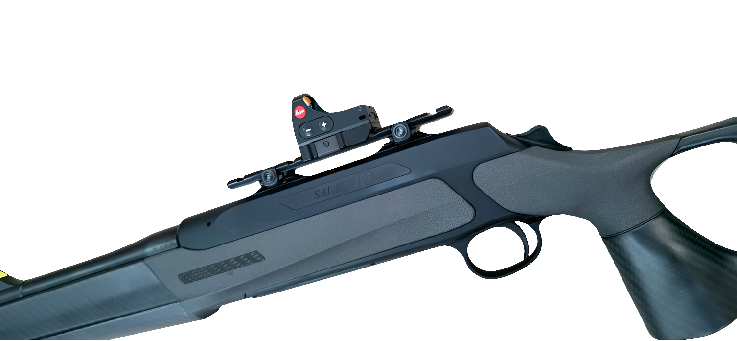 Sauer 303 30.06 crosse carbone FBT + Leica Tempus 2