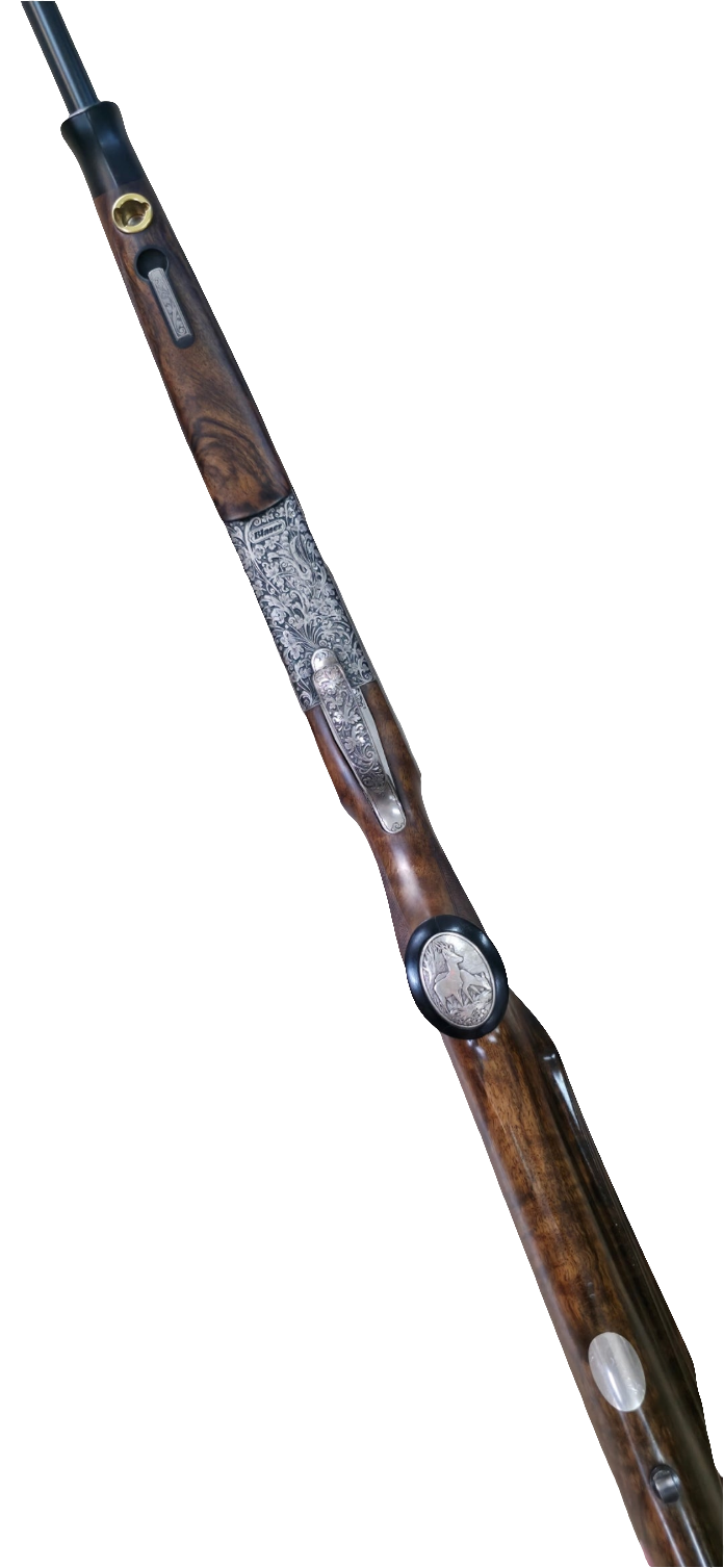 Blaser K95 baronesse 270w occasion
