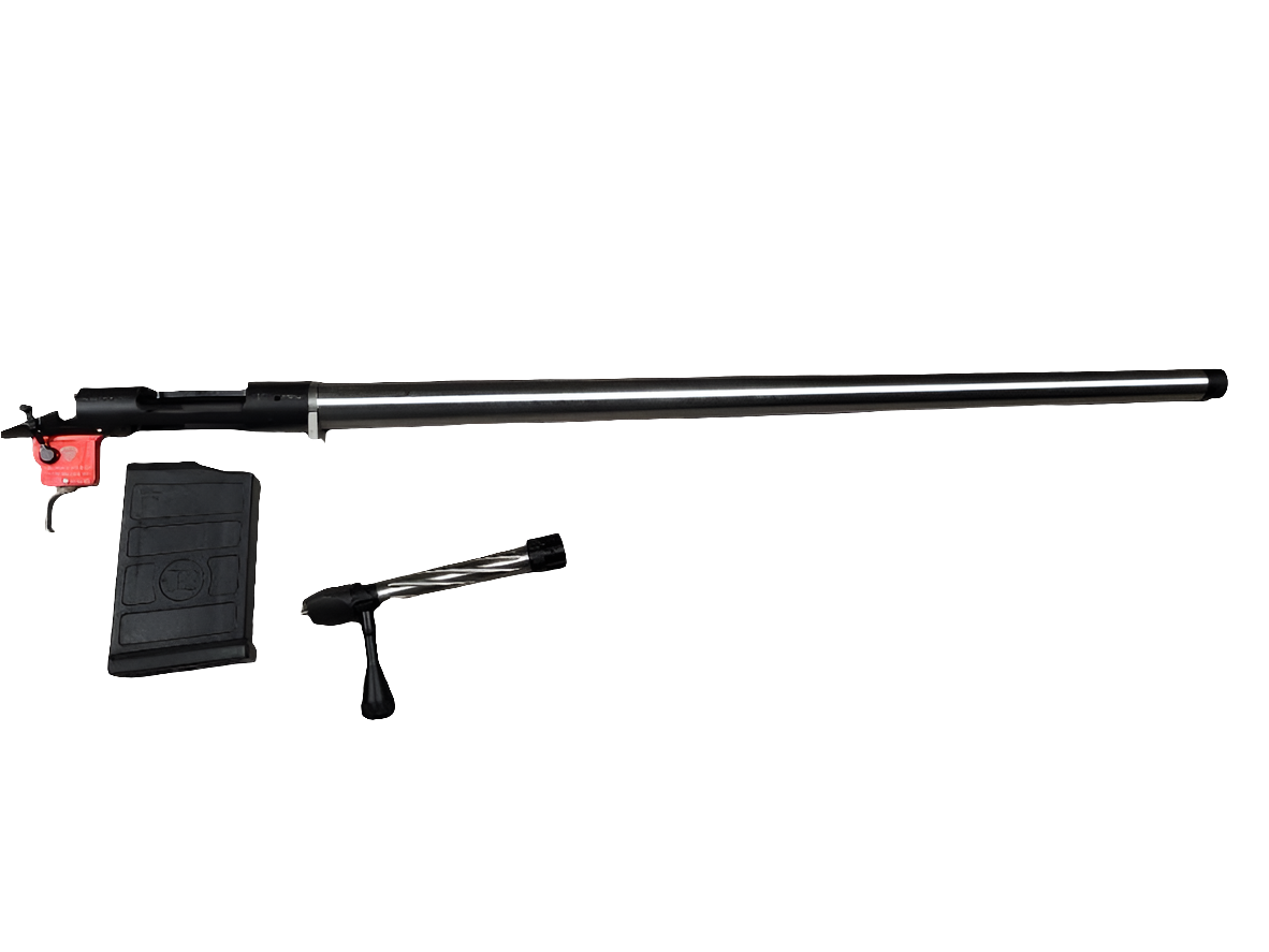 Action canonnée Bergara premier