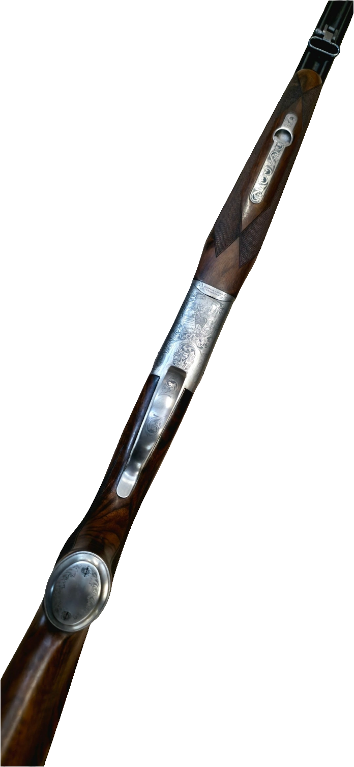 Express Chapuis Rgex série 3 8x57jrs occasion + aimpoint micro h2