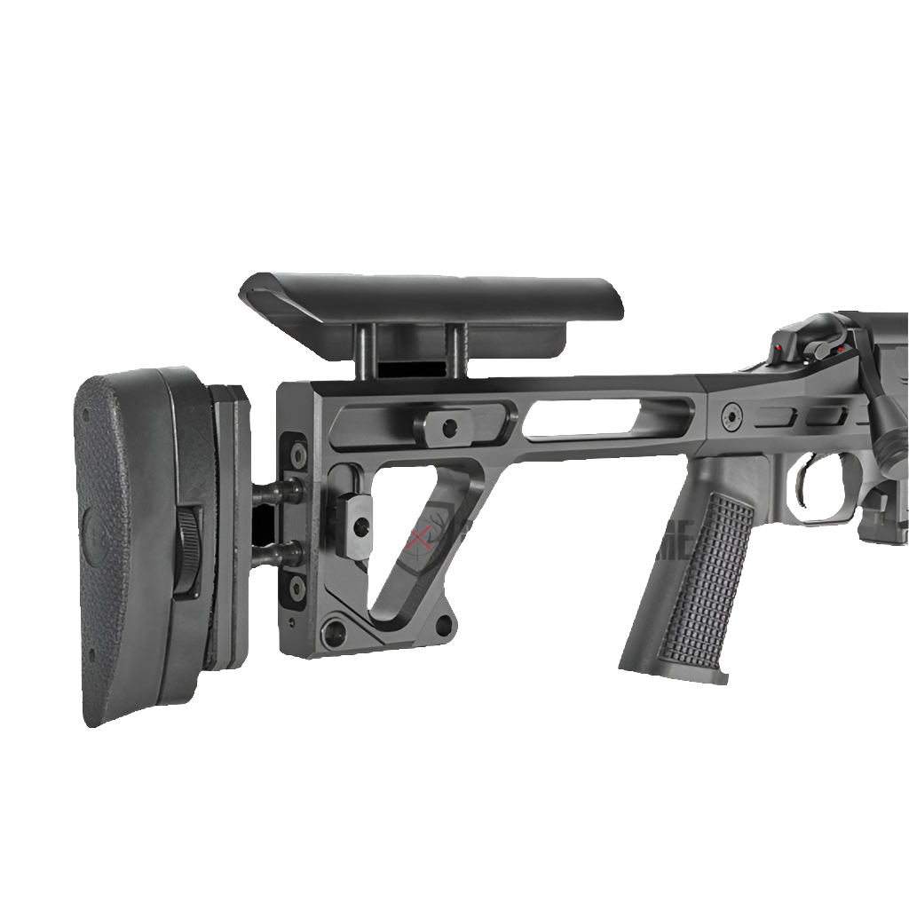 Bergara chassis bmp action courte
