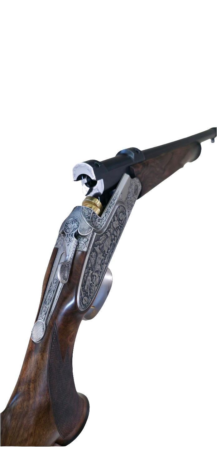 Blaser K95 baronesse 270w occasion