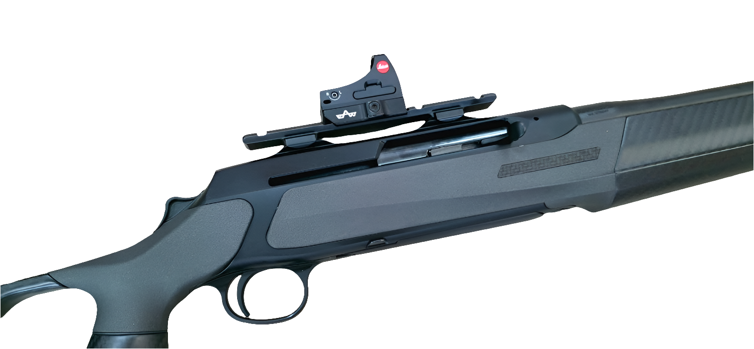 Sauer 303 30.06 crosse carbone FBT + Leica Tempus 2