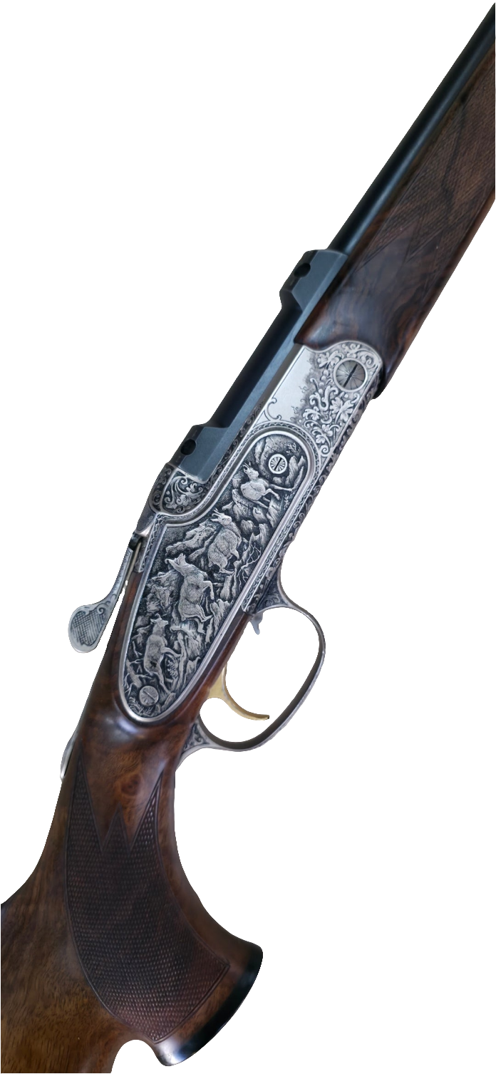 Blaser K95 baronesse 270w occasion