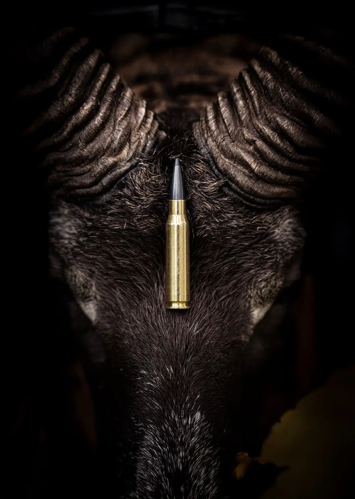 NORMA 30.06 ODIN 180GR