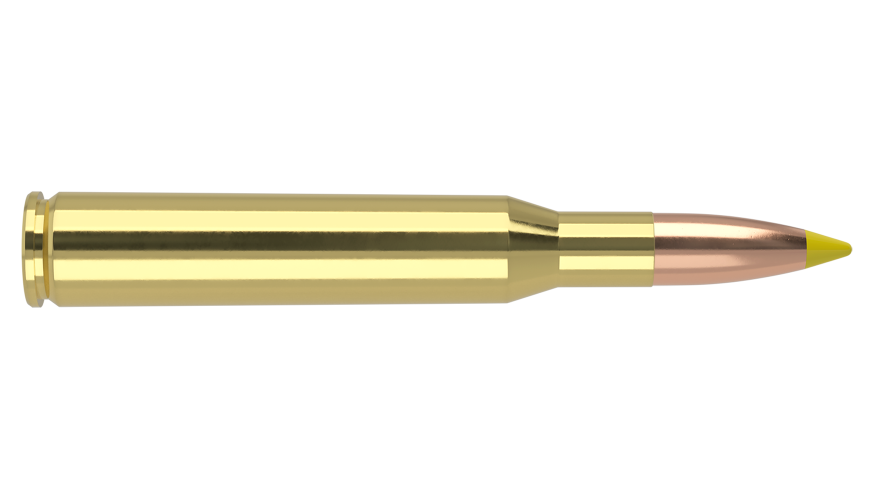 NOSLER 270WIN 140GR BALLISTIC TIP
