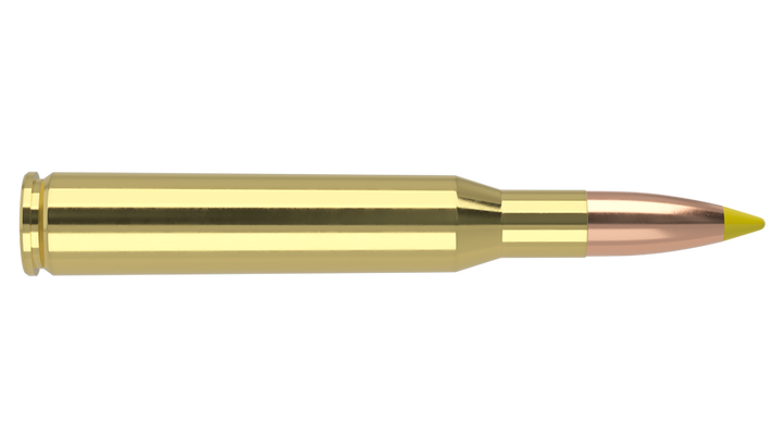NOSLER 270WIN 140GR BALLISTIC TIP