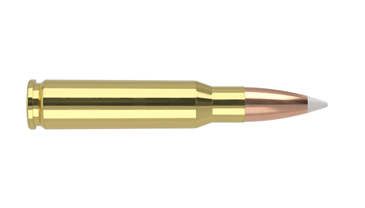 NOSLER 308WIN 165GR ACCUBOND TROPHY GRADE
