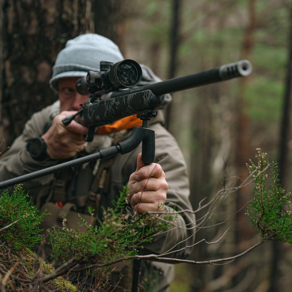 Bipied Spartan springbok