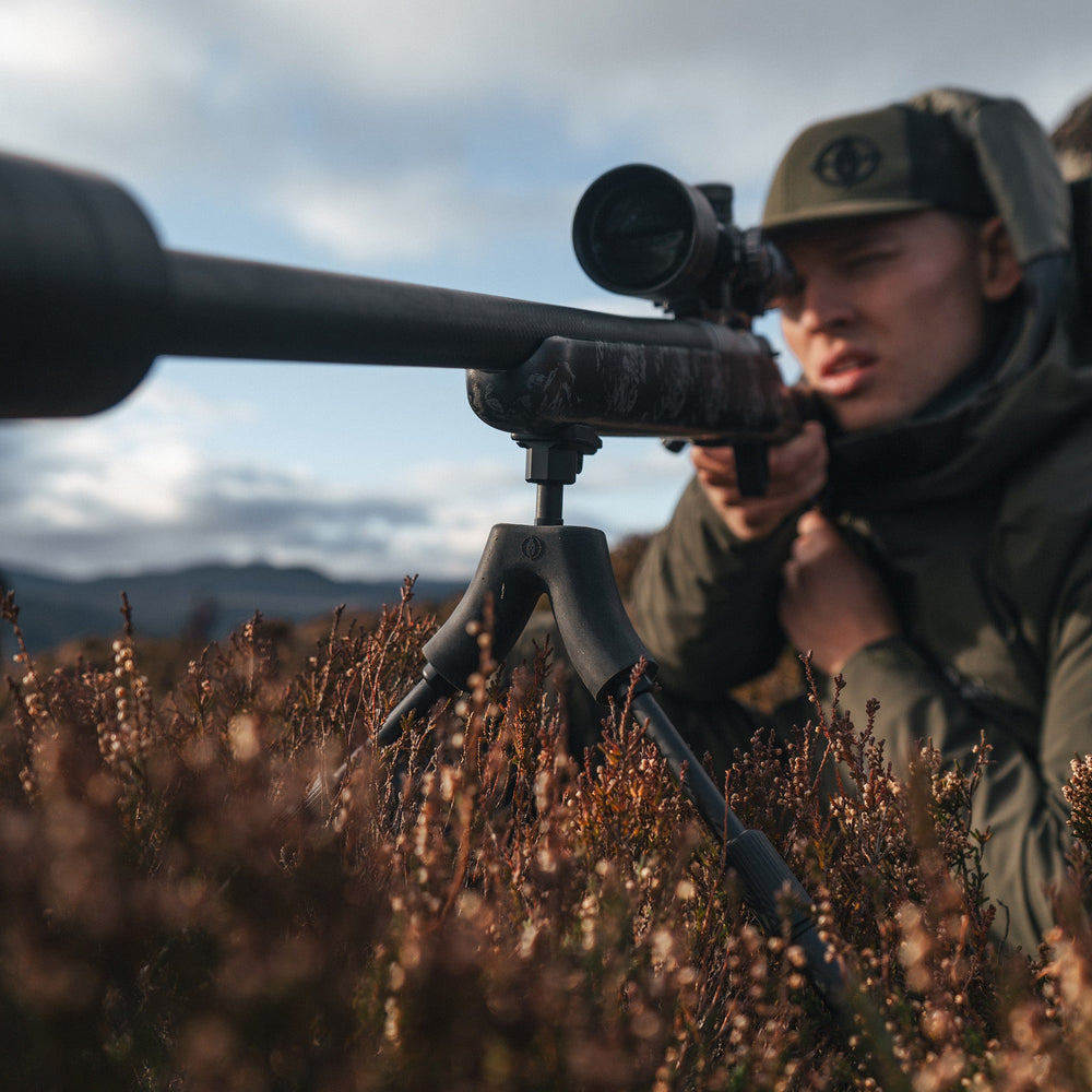 Bipied Spartan springbok