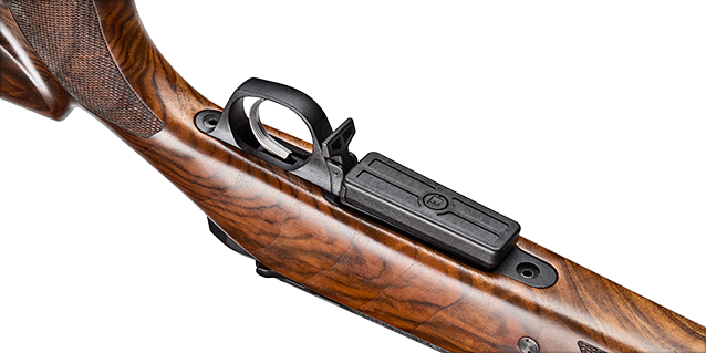 Bergara premier expédition