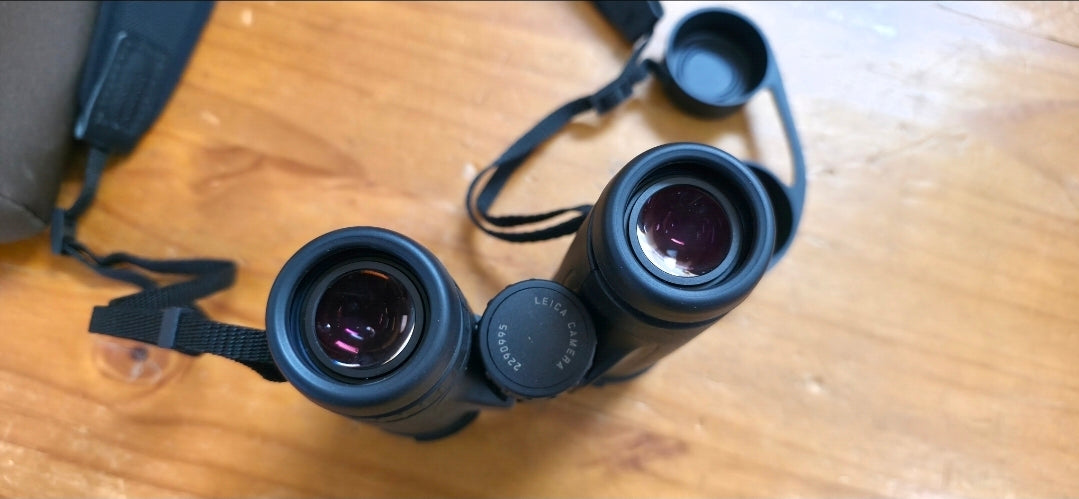 Leica trinovid HD 10x42 occasion