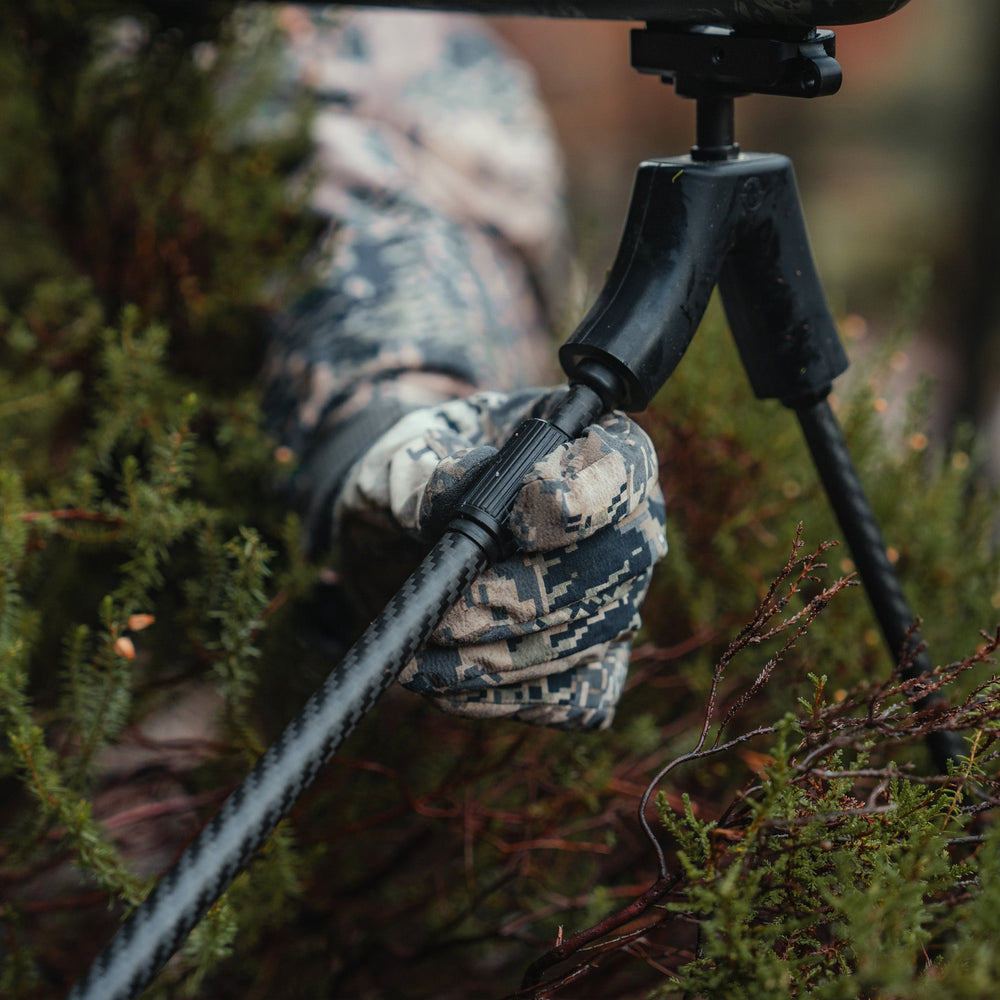 Bipied Spartan springbok