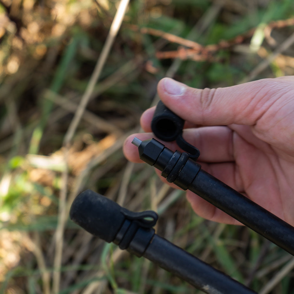 Bipied Spartan springbok