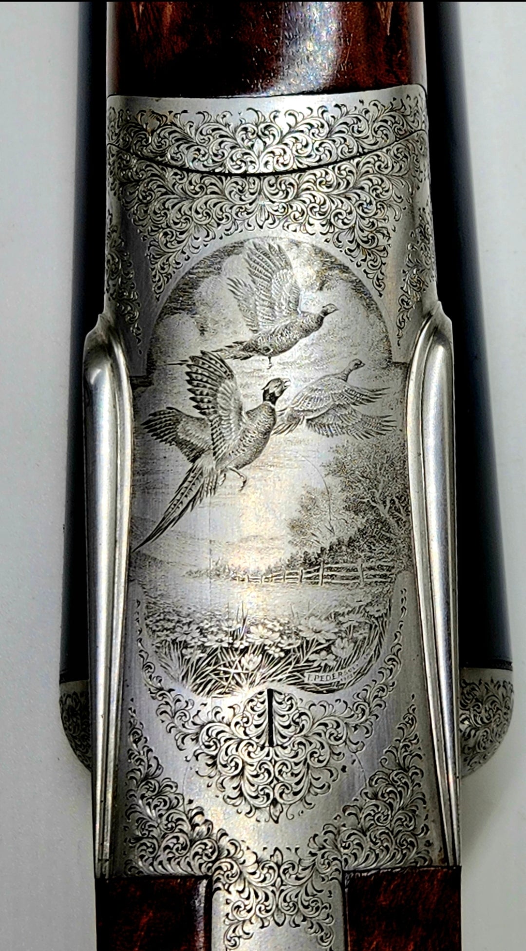 Abbiatico&Salvinelli venus 12/70